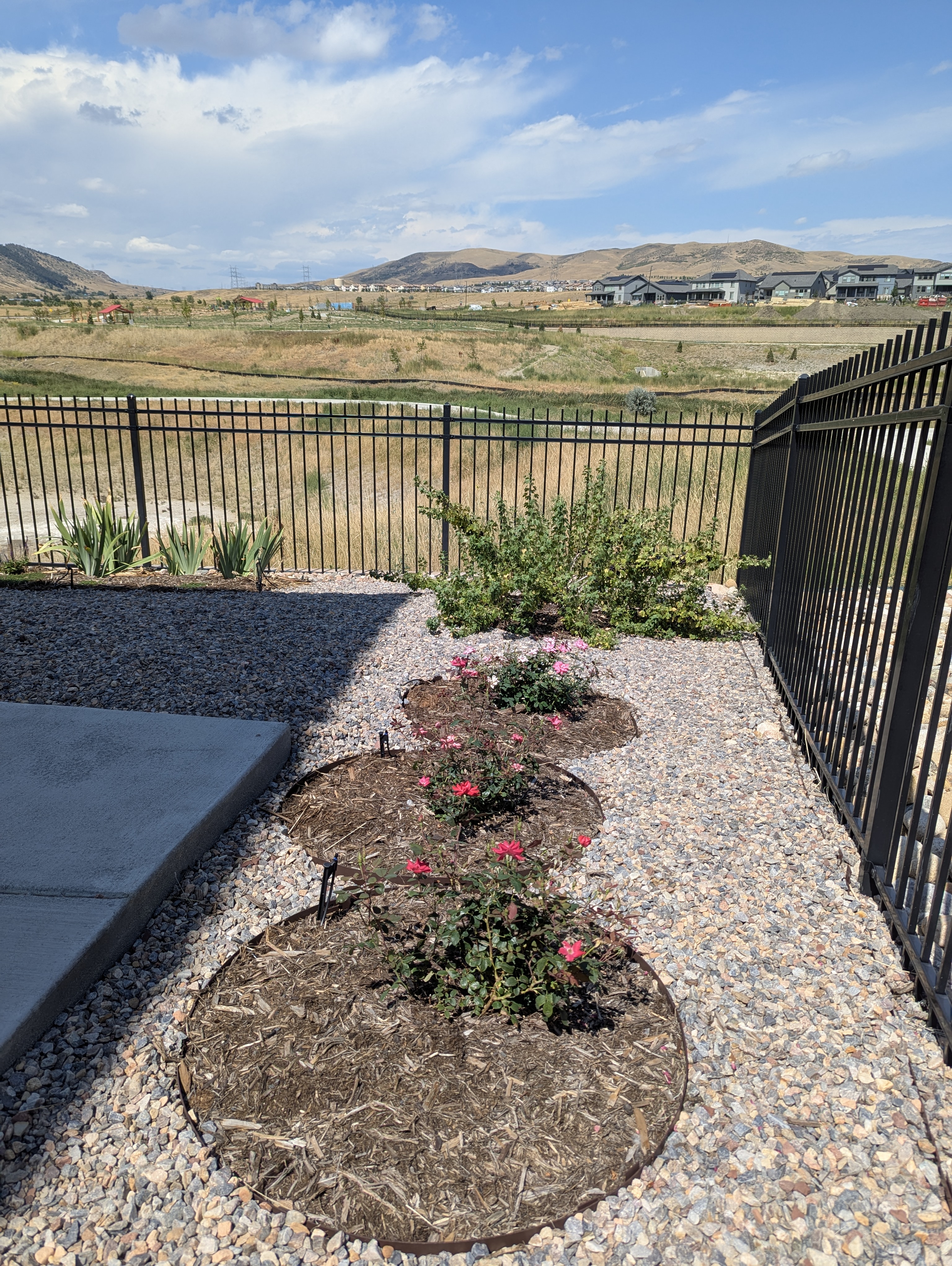 Garden, Morrison, Colorado